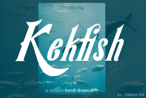 A Designer's Real-World Review of Kekfish Font
