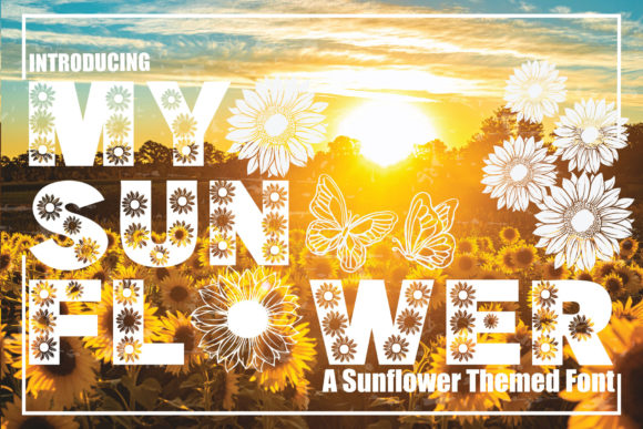 A Professional’s Eye on My Sunflower: Where This Font Thrives