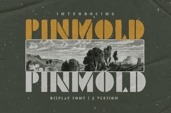 Choosing Pinmold: A Font for Editorial Character