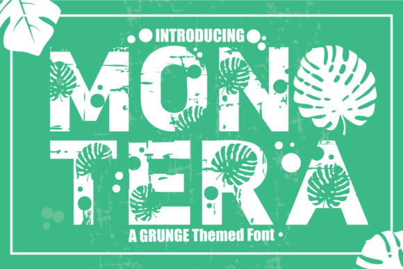 Mon Tera: The Bold Font for Creative Products